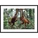 Global Gallery Orangutan Pair Playing - Picture Frame Photograph Print on Paper in Brown/Green | 30 H x 43.5 W x 1.5 D in | Wayfair