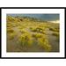 Global Gallery 'Sangre De Cristo Mountains at Great Sand Dunes National Monument, Colorado' Framed Photographic Print Paper in Brown | Wayfair