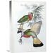 Global Gallery 'Red-Throated Nyctiornis' by John Gould Painting Print on Wrapped Canvas in Gray | 22 H x 15.09 W x 1.5 D in | Wayfair
