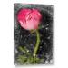 Wrought Studio™ Ranunculus Pink by Sia Aryai - Graphic Art on Canvas in Black/Green/Pink | 24 H x 16 W x 2 D in | Wayfair VKGL7307 34747670