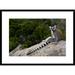 Global Gallery 'Ring-Tailed Lemur Resting on Rocks' Framed Photographic Print Paper in Gray/Green | 22 H x 30 W x 1.5 D in | Wayfair