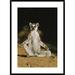 Global Gallery 'Ring-Tailed Lemur Sunning' Framed Photographic Print Paper in White | 36 H x 26 W x 1.5 D in | Wayfair DPF-452648-2030-266