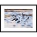 Global Gallery 'Snow Goose Flock Flying Over Wetland' Framed Photographic Print Paper in White | 22 H x 30 W x 1.5 D in | Wayfair