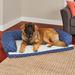 MidWest Homes for Pets QuietTime Couture Hampton Bolster Orthopedic Dog Sofa Metal in Blue | 10 H x 40 W x 30 D in | Wayfair BS3040BLD