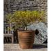 Red Barrel Studio® Mill Valley Cast Stone Pot Planter Concrete, Copper in Black/Brown/Green | 28.75 H x 29.75 W x 29.75 D in | Wayfair