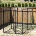 Lucky Dog Steel Wire Yard Kennel Metal | 72 H x 60 W x 120 D in | Wayfair CL 66150