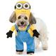 Rubies Costume Company Minion Bob Arme Pet Anzug