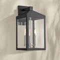 Nyack 17 1/2" High Black Outdoor Wall Light