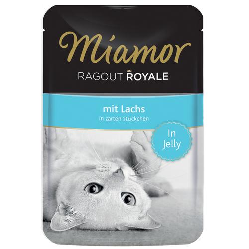 22 x 100g Ragout Royale Lachs in Jelly Miamor Katzenfutter nass