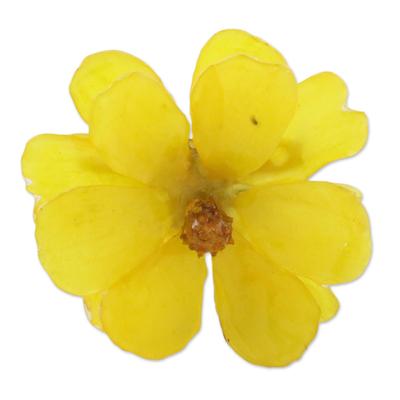 Blooming Cosmos in Goldenrod,'Natural Cosmos Flower Brooch in Goldenrod from Thailand'
