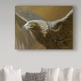 Trademark Fine Art 'Golden Eagle' Graphic Art Print on Wrapped Canvas Metal in Brown | 24 H x 32 W x 2 D in | Wayfair ALI32286-C2432GG