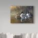 Trademark Fine Art 'Pintail Trios' Graphic Art Print on Wrapped Canvas in Brown/Gray | 18 H x 24 W x 2 D in | Wayfair ALI33820-C1824GG