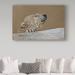 Trademark Fine Art 'Polar Bear' Graphic Art Print on Wrapped Canvas in Brown/Gray | 12 H x 19 W x 2 D in | Wayfair ALI32994-C1219GG