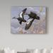 Trademark Fine Art 'Black Ducks' Graphic Art Print on Wrapped Canvas Metal in Black/Gray | 24 H x 32 W x 2 D in | Wayfair ALI33737-C2432GG