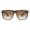 Ray Ban RB4147 Sunglasses Tortoise Light Brown Gradient