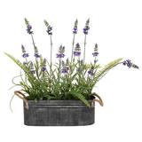 Vickerman 524664 - 16" Lavender Flower Fern in Iron Pot (FJ180201) Home Office Flowers in Pots Vases and Bowls
