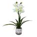 Vickerman 525197 - 19" White Cymidium in Pot Real Touch (FN180701) Home Office Flowers in Pots Vases and Bowls