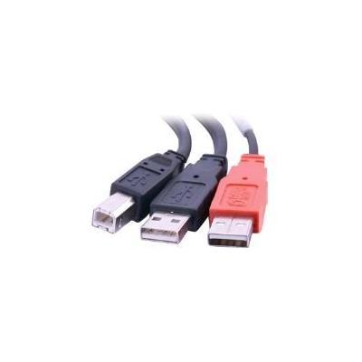 Cables to Go 28108 USB Cable