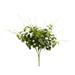 Vickerman 522608 - 21" Green Clematis Spray 3/Pk (FA187901) Home Office Picks and Sprays