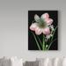 Trademark Fine Art 'Apple Blossom & Paper Whites' Graphic Art Print on Wrapped Canvas in Black/Green/Pink | 19 H x 14 W x 2 D in | Wayfair