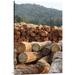 East Urban Home 'Logged Timber from the Tropical Rainforest, Cameroon' Photographic Print, Wood in White | 36 H x 24 W x 1.5 D in | Wayfair