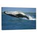 East Urban Home 'Humpback Whale Breaching, Kaikoura, New Zealand' Photographic Print, Wood in Blue | 12 H x 18 W x 1.5 D in | Wayfair