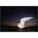 East Urban Home Swallow-Tailed Gull Departs at Dusk to Feed Far Offshore, Galapagos Islands - Wrapped Canvas Photograph Print Canvas | Wayfair