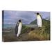 East Urban Home 'King Penguin Pair in Tussock Grass, Gold Harbor, South Georgia Island' Photographic Print, in Blue/Green | Wayfair