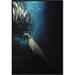 East Urban Home 'Galapagos Sea Lion Pup Fishing Amid School of Striped Snapper, Galapagos Islands' Photographic Print Canvas, in Black/Blue | Wayfair