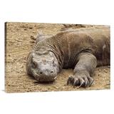 East Urban Home 'Komodo Dragon Male Basking, Komodo NP, Komodo Island, Indonesia' Photographic Print Canvas, in White | Wayfair URBP3640 41071959