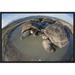 East Urban Home 'Volcan Alcedo Giant Tortoises Wallowing, Alcedo Volcano, Galapagos Islands' Photographic Print Canvas, in Brown | Wayfair