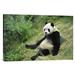 East Urban Home 'Giant Panda, Woolong' Photographic Print, Wood in Black/Green | 20 H x 30 W x 1.5 D in | Wayfair EAAC8334 39225501