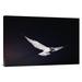 East Urban Home Swallow-Tailed Gull Departs at Dusk to Feed Far Offshore, Galapagos Islands - Wrapped Canvas Photograph Print Canvas | Wayfair