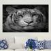 World Menagerie 'Tiger Silhouette' Photographic Print on Wrapped Canvas in Black/White | 28 H x 48 W x 1.5 D in | Wayfair