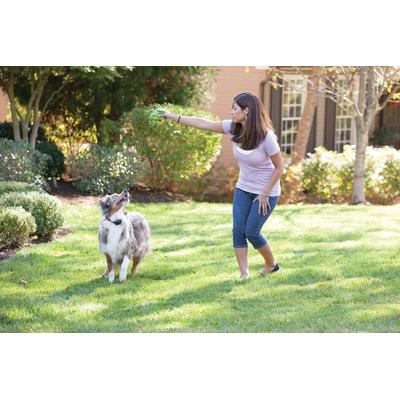 PetSafe YardMax In Ground Fence Rechargeable