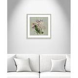 Ophelia & Co. 'Jardin Botanique I' Framed Graphic Art Print Paper in Green | 24 H x 24 W x 1.25 D in | Wayfair 76A048BF483D48C78F979596AD54E68A