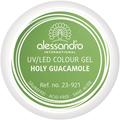 Alessandro Colour Gel 921 Holy Guacamole 5 g Nagelgel