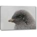 World Menagerie 'Antarctica Adelie penguin chick in snowstorm' by Arthur Morris Giclee Art Print on Wrapped Canvas in Gray | Wayfair