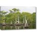 Millwood Pines 'FL, Blue Cypress Lake Cypress trees w/ birds' by Arthur Morris Giclee Art Print on Wrapped Canvas in Green | Wayfair