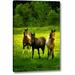 Charlton Home® 'The Horses Three II' by Alan Hausenflock Giclee Art Print on Wrapped Canvas in Green | 24 H x 16 W x 1.5 D in | Wayfair