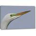 Highland Dunes 'FL Great egret headshot' by Arthur Morris Giclee Art Print on Wrapped Canvas in Blue | 10 H x 16 W x 1.5 D in | Wayfair