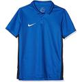 Nike Kinder Dry Academy18 Football Polo Shirt, Blau (Royal Blue/463), Gr. S