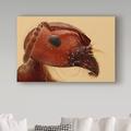 Trademark Fine Art 'Red Ant Portrait' Photographic Print on Wrapped Canvas in Brown/Red | 12 H x 19 W x 2 D in | Wayfair 1X05755-C1219GG
