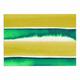 Kess eigene jd1279adm02 EBI Emporium "Summer Vibes 3, gelb grün" Gelb Weiß Hund Tischset, 61 x 38,1 cm