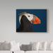 Trademark Fine Art 'Tufted Puffin' Graphic Art Print on Wrapped Canvas in Black/Blue | 14 H x 19 W x 2 D in | Wayfair 1X05863-C1419GG