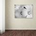 Winston Porter 'Sheer Malva' Photographic Print on Wrapped Canvas in White/Black | 35 H x 47 W x 2 D in | Wayfair EDB5861B11644E128D93F11097B37D69