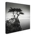 World Menagerie 'The Lone Cypress' Photographic Print on Wrapped Canvas in Black/White | 24 H x 24 W x 2 D in | Wayfair