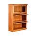 Loon Peak® Mcintosh Barrister Bookcase Wood in Black | 49 H x 35 W x 13 D in | Wayfair FD8E8AA574DB4F309784E4C709CC8542