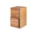 Loon Peak® Braunstein 2-Drawer Vertical Filing Cabinet Wood in Brown | 30 H x 22 W x 21 D in | Wayfair FE6EC9AA153A4A879031DE4B02CB66CF