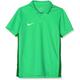 Nike Kinder Dry Academy18 Football Polo Shirt, Grün (Light Spark/Pine Green/White/361), Gr. L